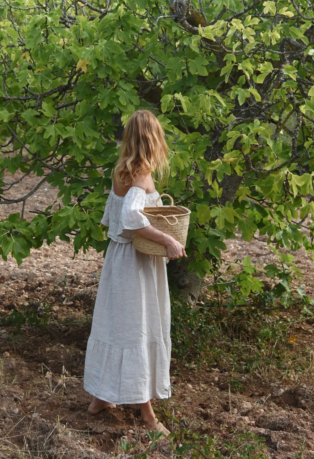 The Baila Dress // Moon