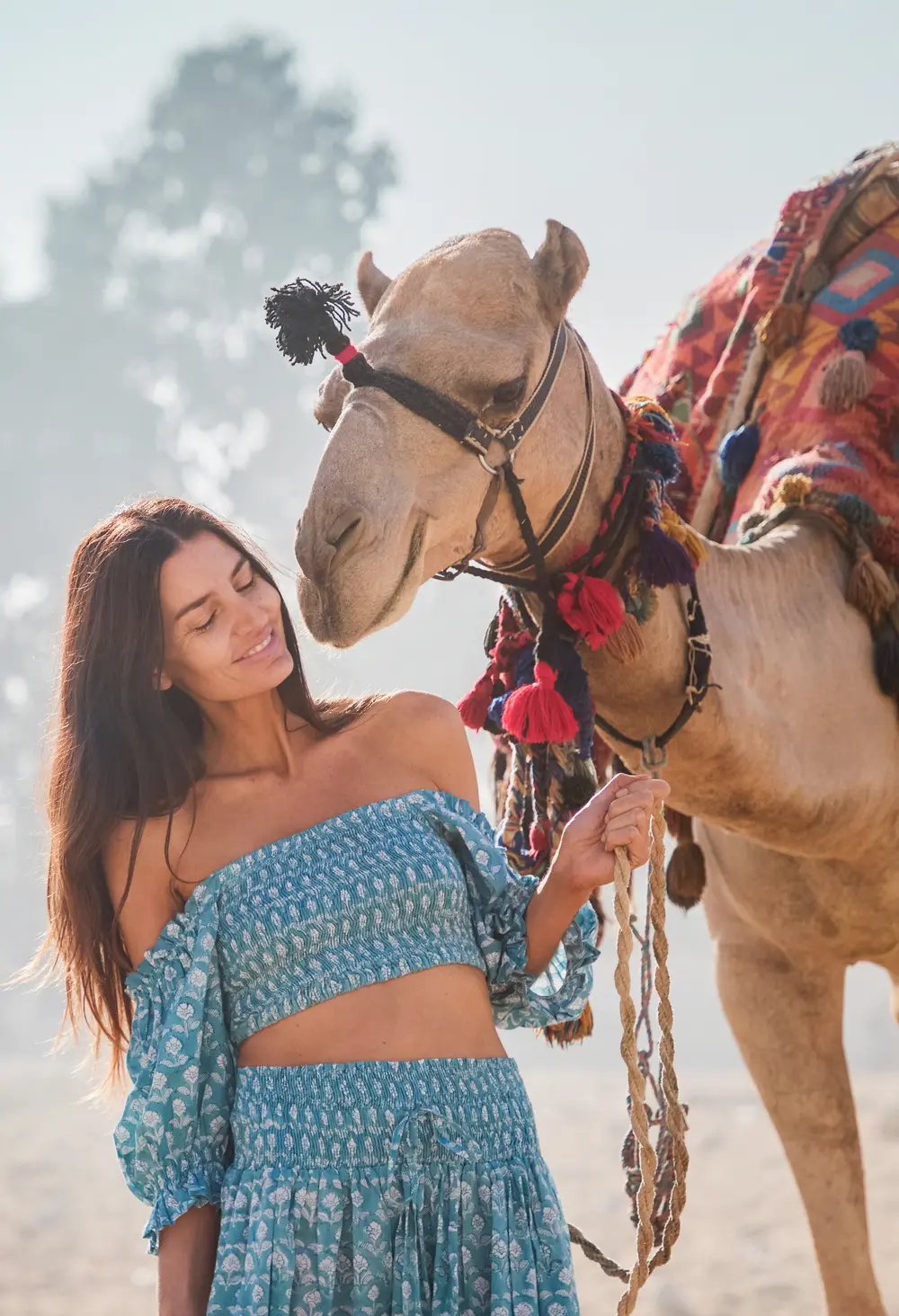 The Marigold Set // Agave