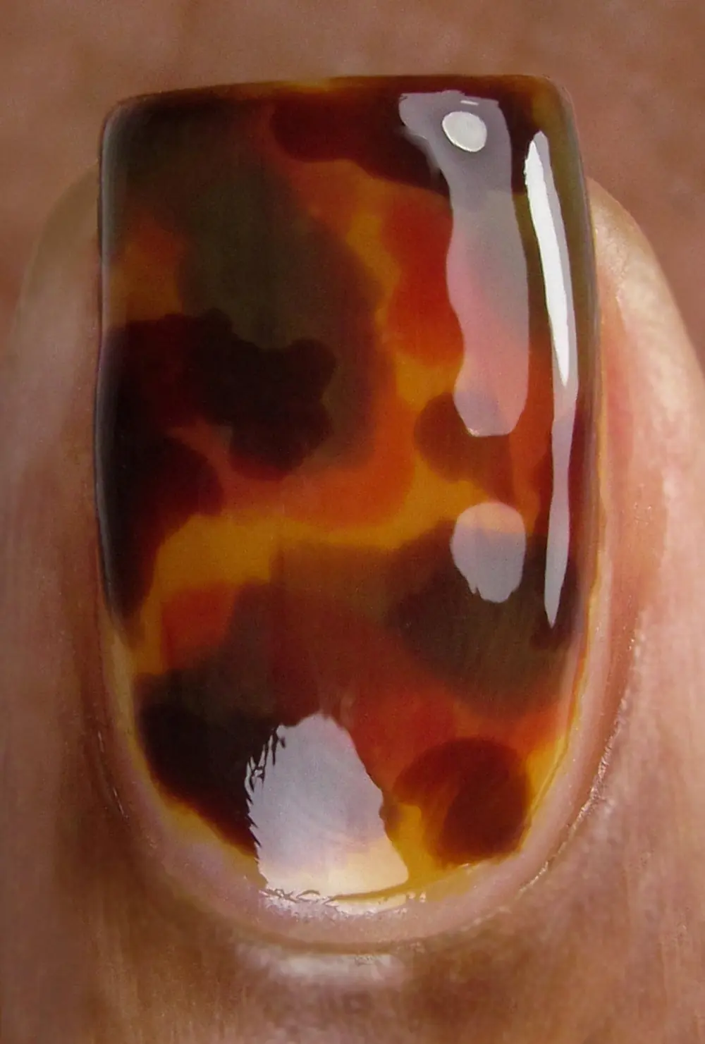 Tortoiseshell Nail Art Set