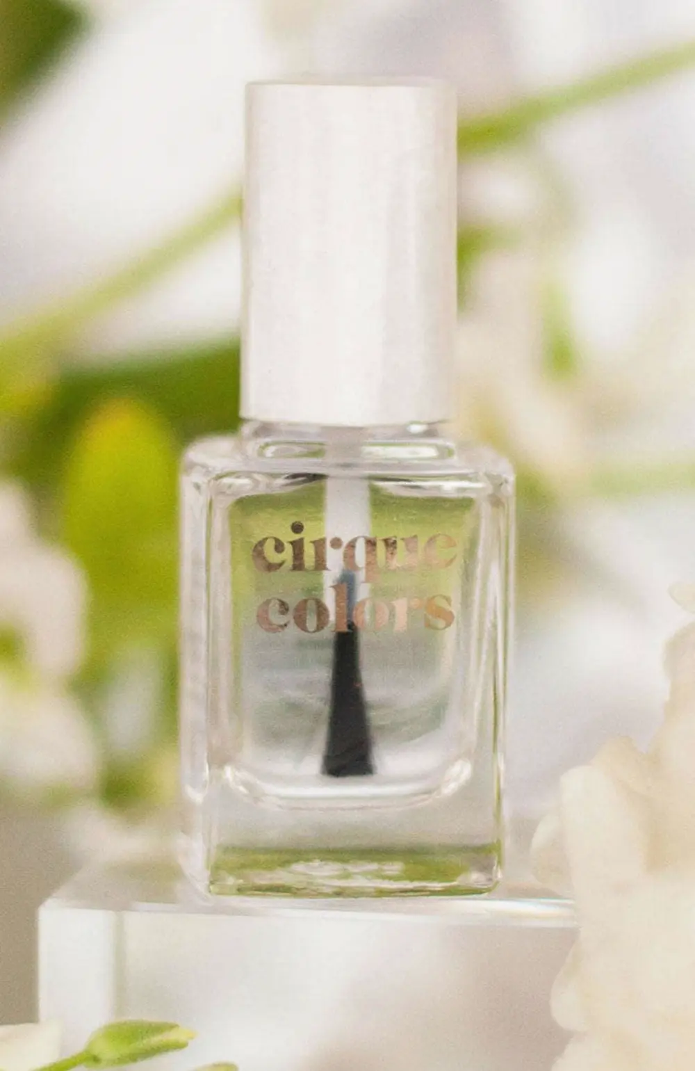 Frequent Painters Duo