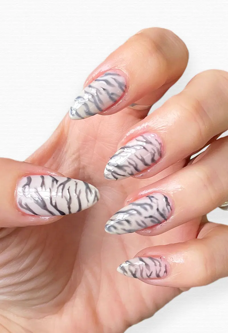 Zebra Set
