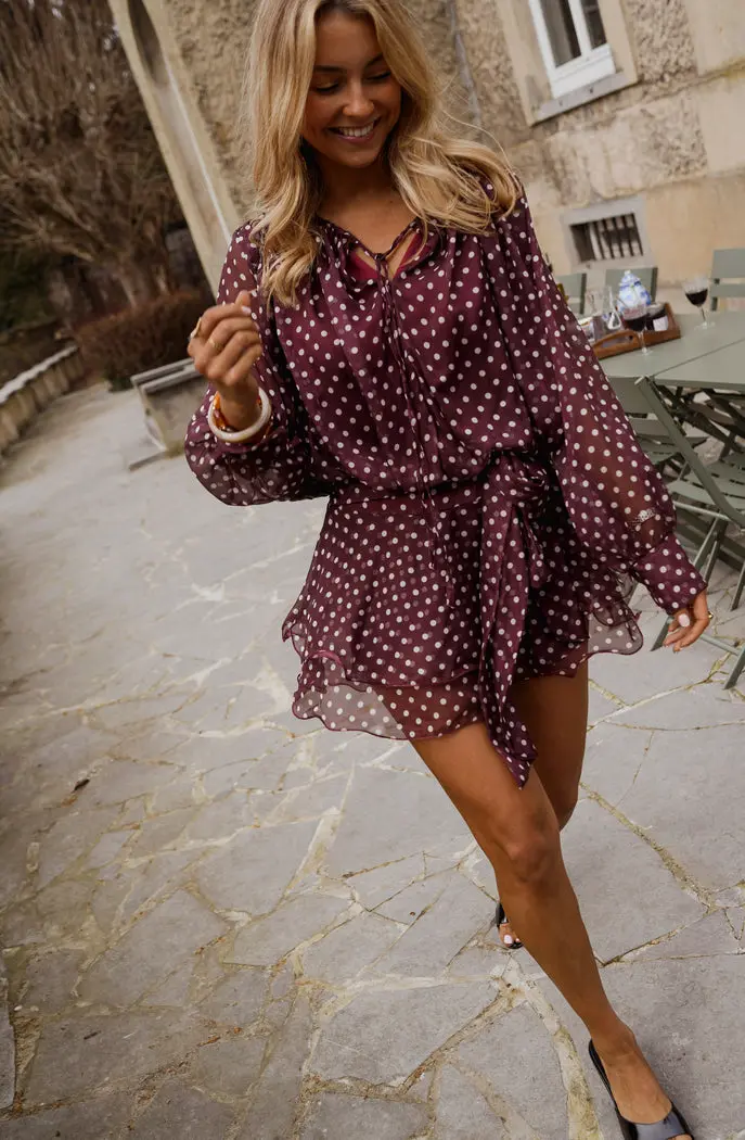 Burgundy Polka Dot Alenor Dress