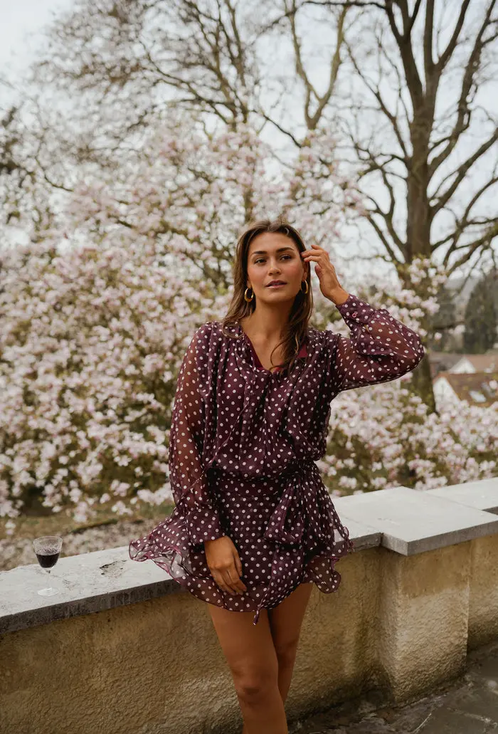 Burgundy Polka Dot Alenor Dress