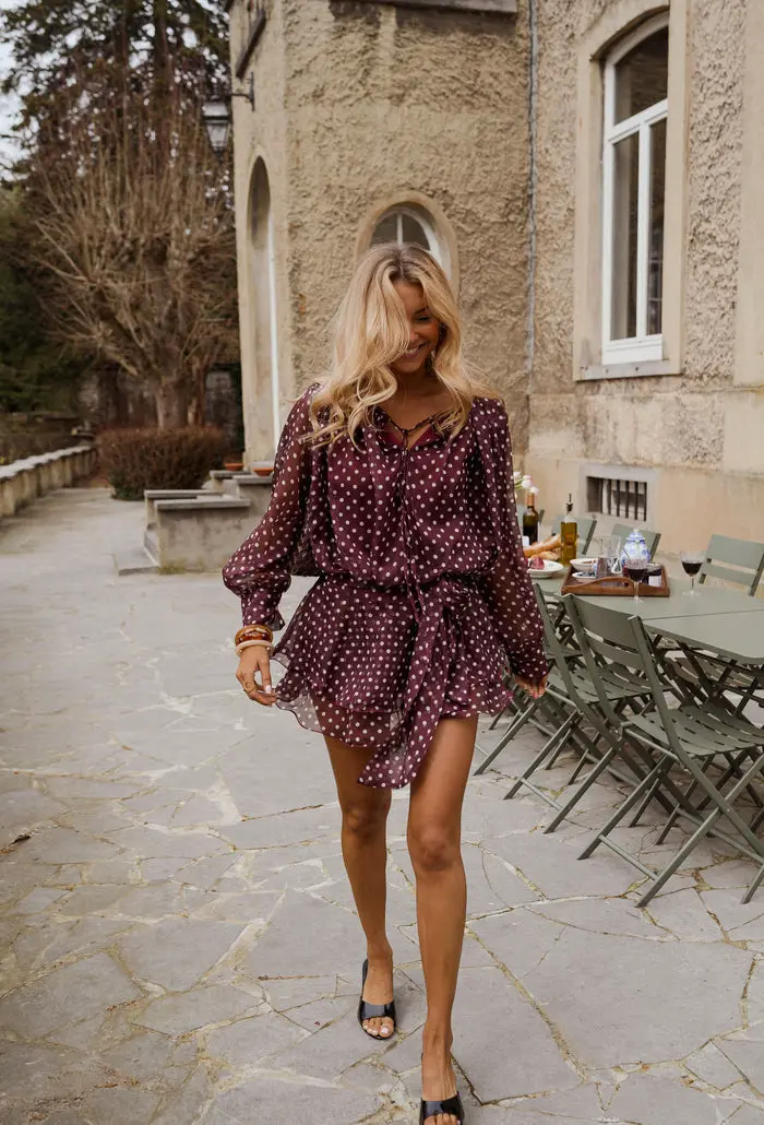 Burgundy Polka Dot Alenor Dress