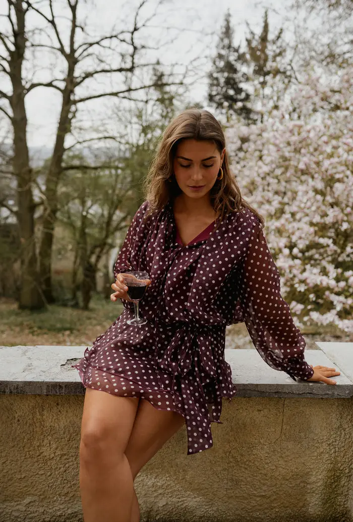 Burgundy Polka Dot Alenor Dress