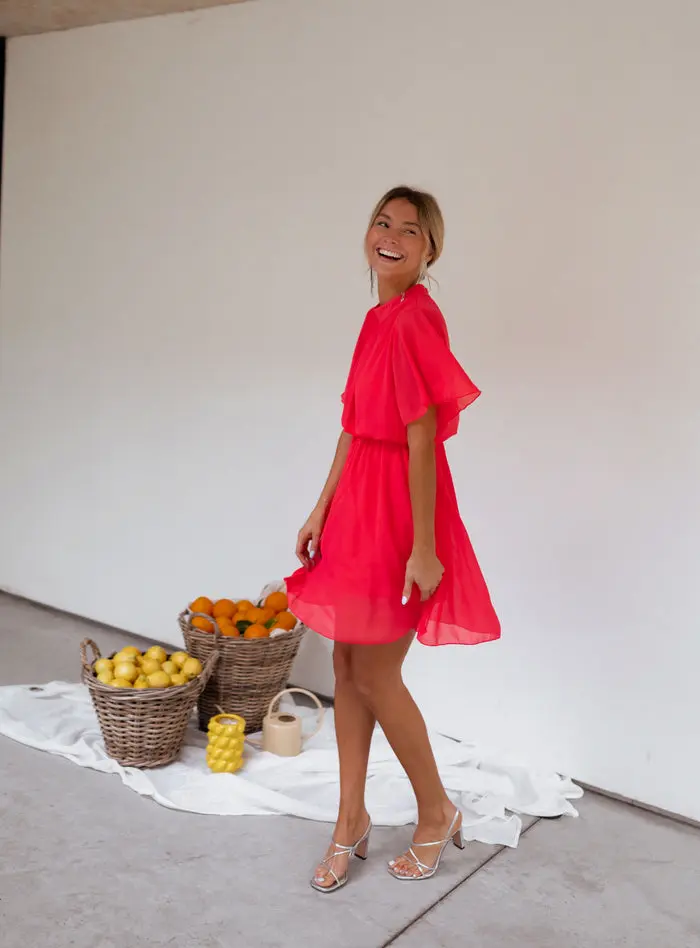 Raspberry Amandine Dress