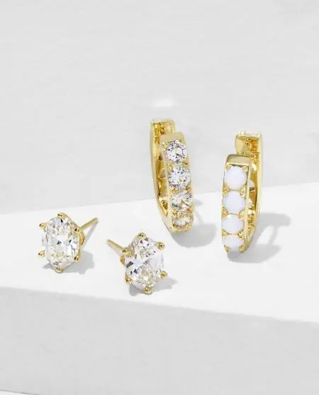 Chandler Huggie and Stud Earring Set of 2