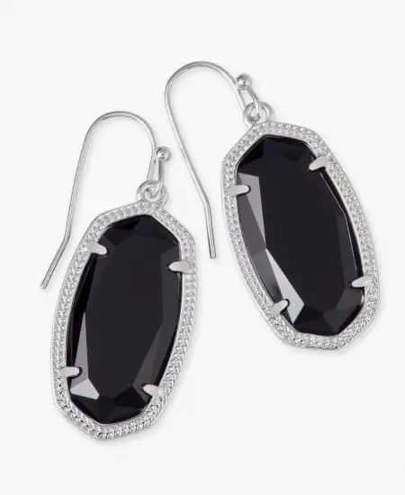 Dani Drop Earrings in Silver