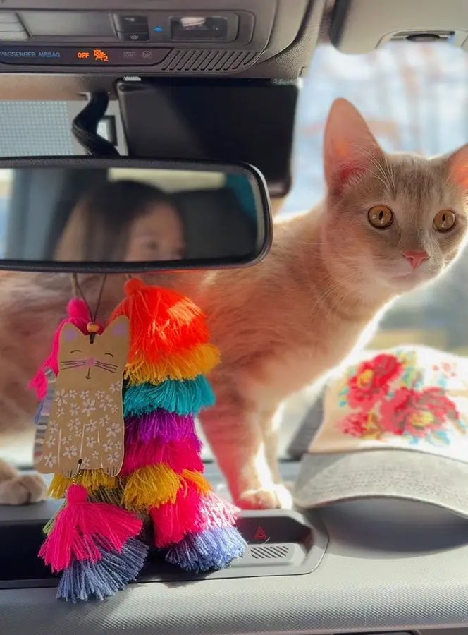 Car Air Freshener - Cat