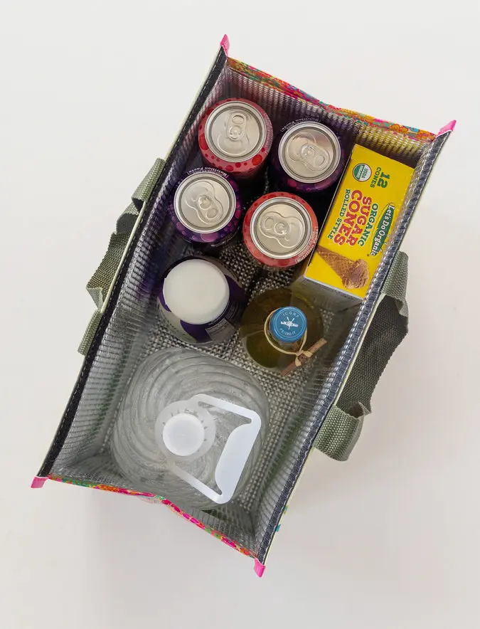 Insulated Cooler Tote - Fish