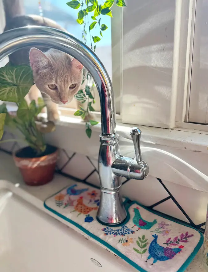 Reversible Faucet Sink Mat - Chickens