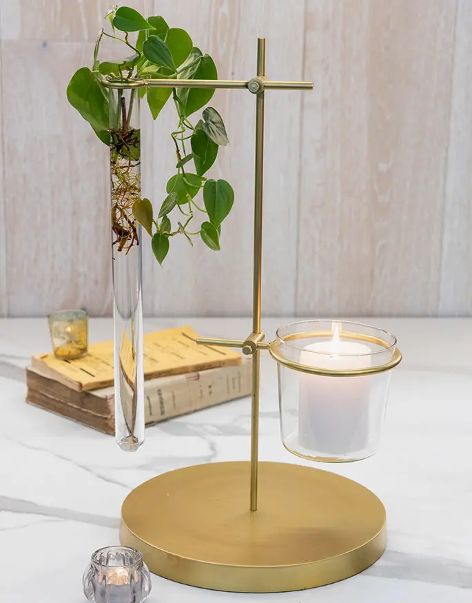 Brass Propagation Vase