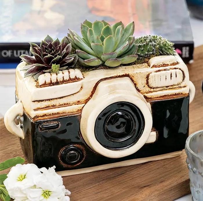 Shutterbug Succulent Planter