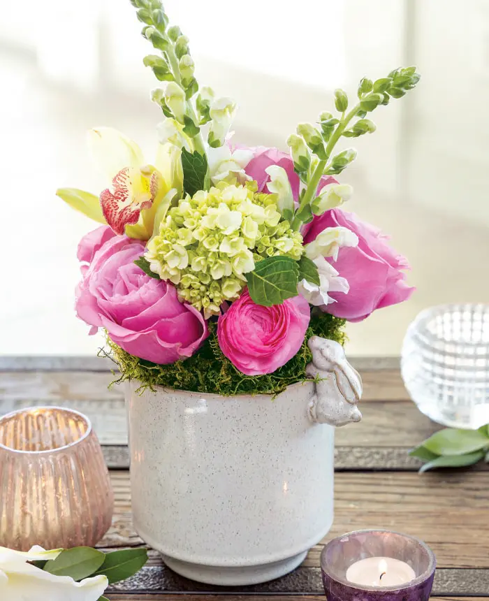 Climbing Bunny Potager