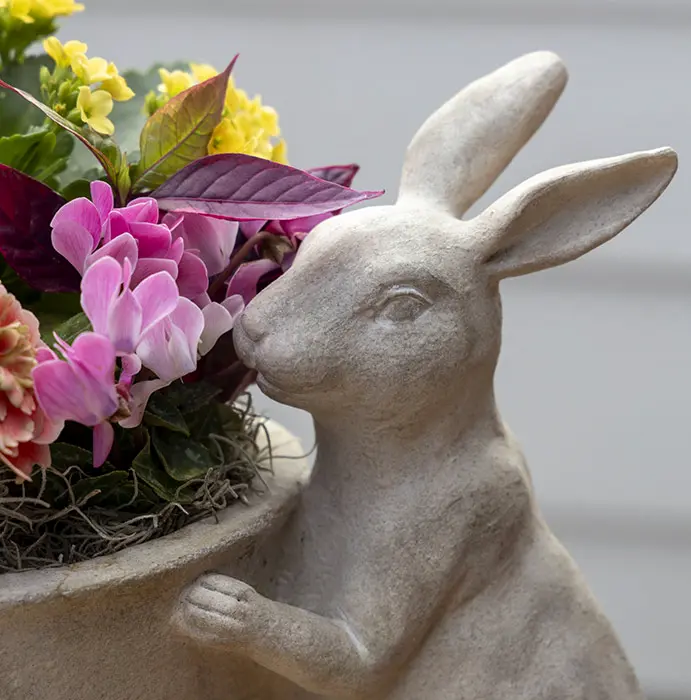 Blooming Bunny Planter