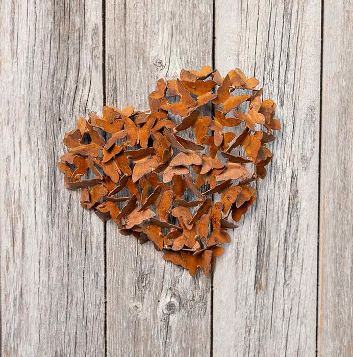 Heart Aflutter Metal Butterflies