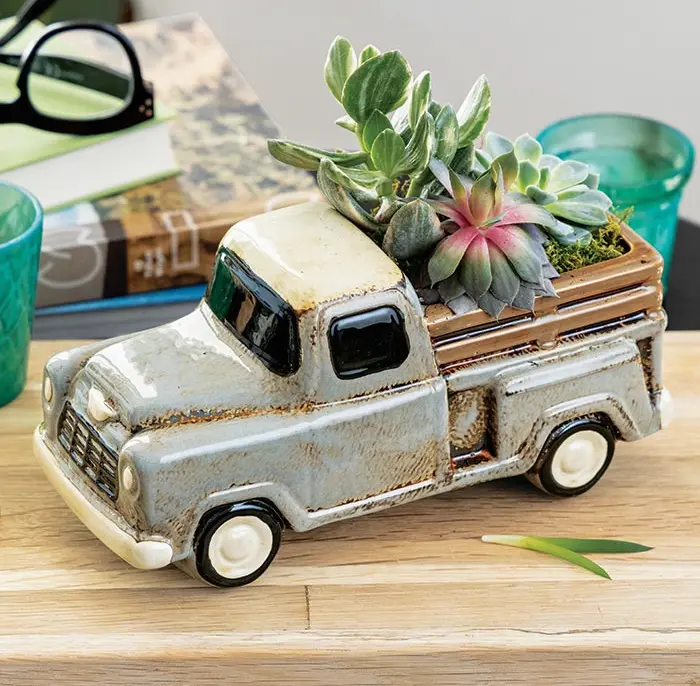 Ceramic Truck Succulent