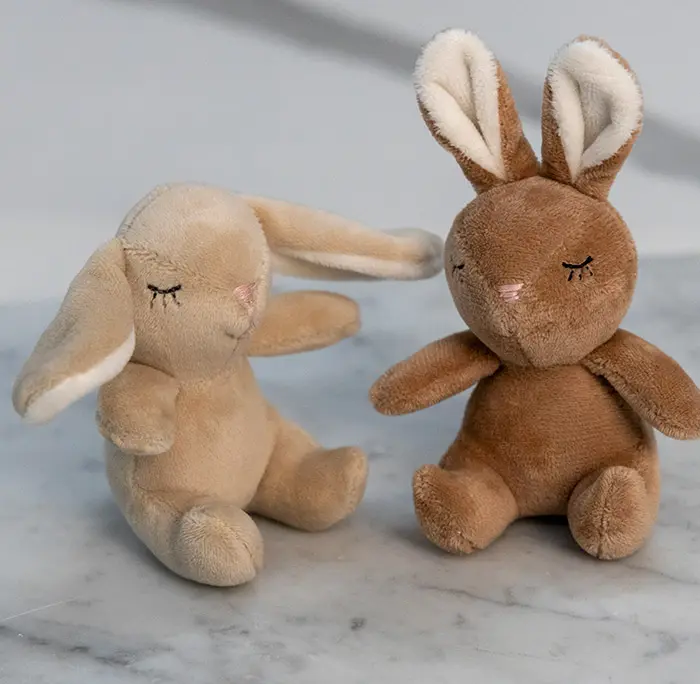 Spring Pals & Storybook