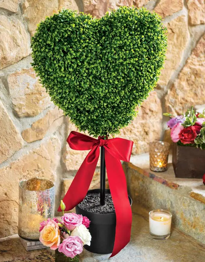 Heart Boxwood Topiary