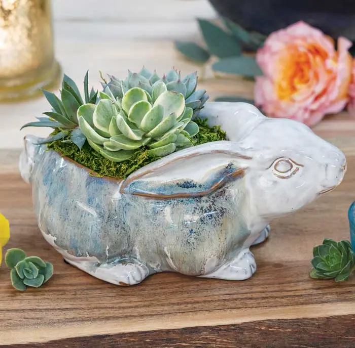 Farmstead Bunny Succulent