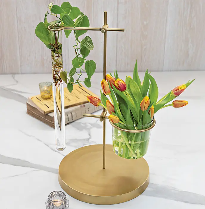 Brass Propagation Vase
