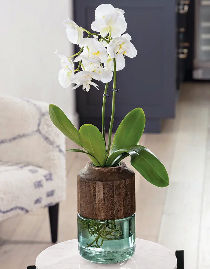 Contemporary Wood & Glass Vase