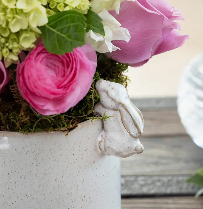 Climbing Bunny Potager