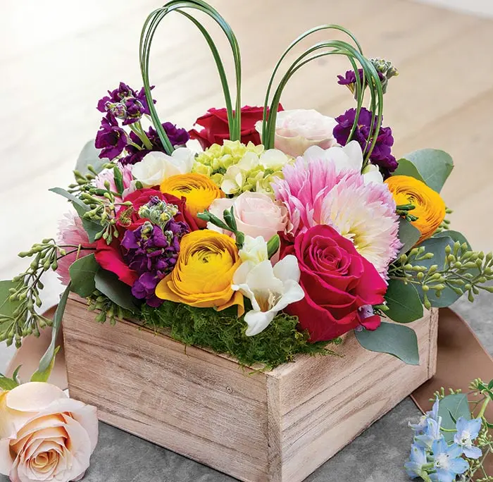 Bunny Ears Whitewash Fleur