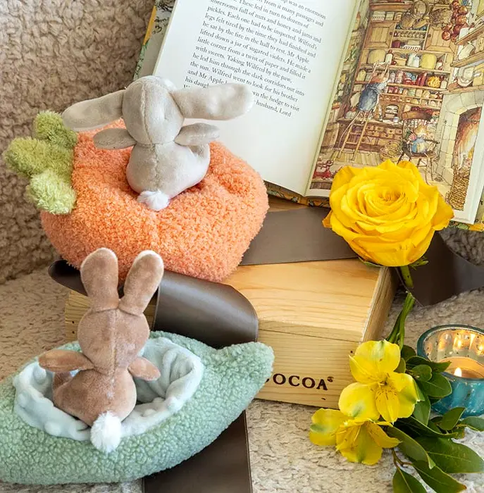 Spring Pals & Storybook