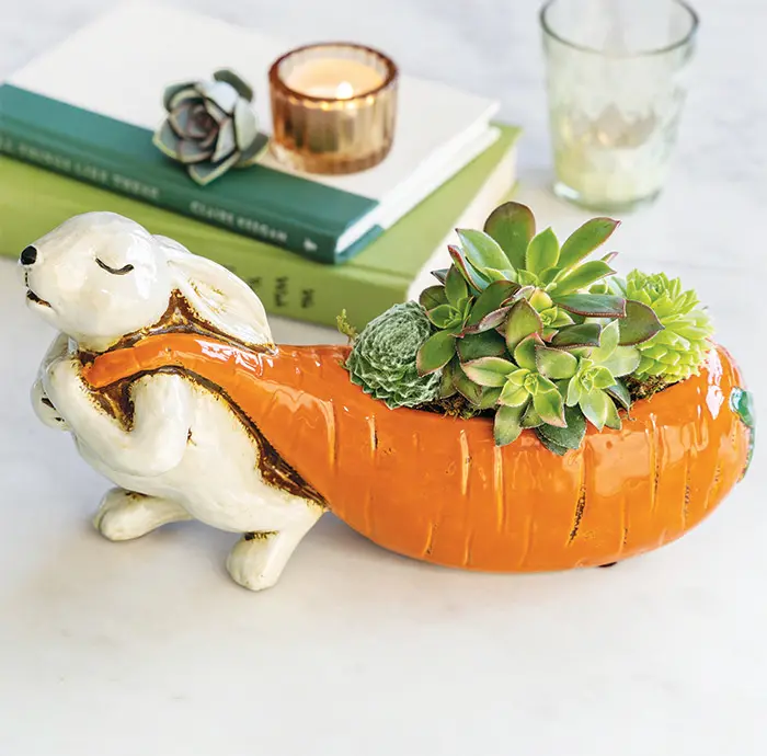 Big Carrot & Bunny Succulent