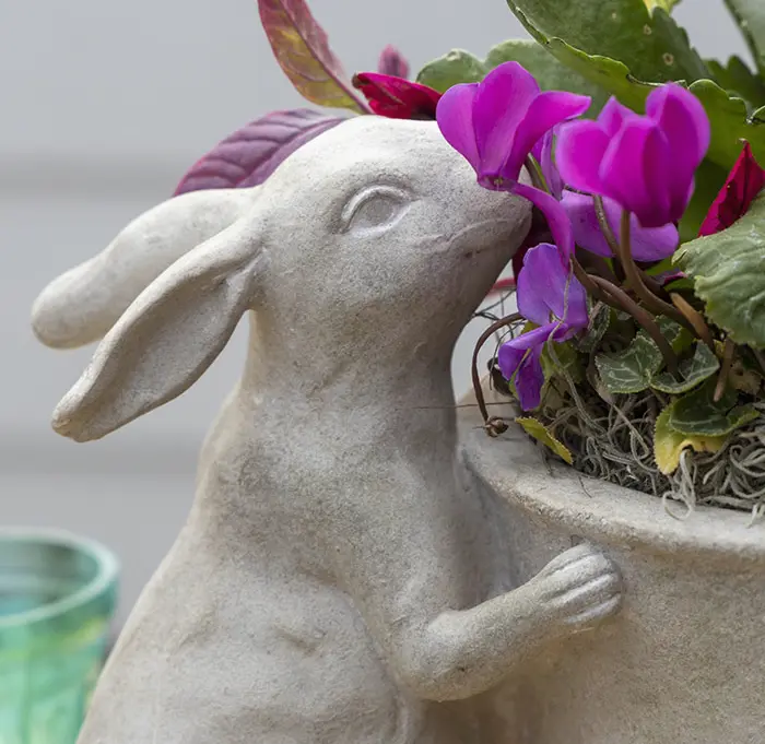 Blooming Bunny Planter