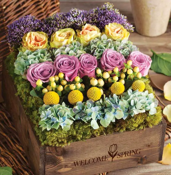 Abigail Garden - Welcome Spring