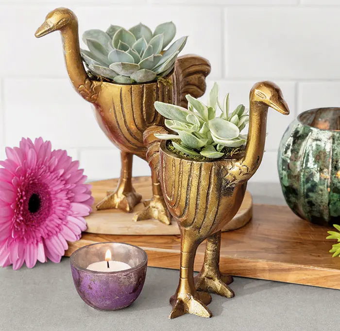 Brass Ostrich Succulents