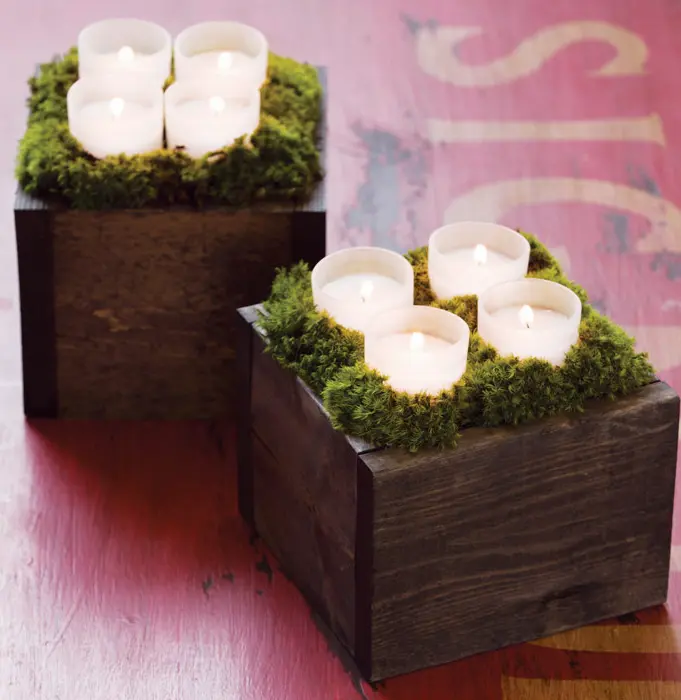 Botanic Candle Lit Boxes