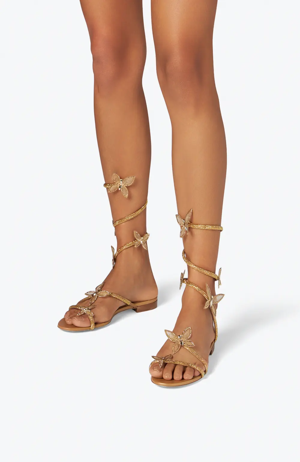 Rene Caovilla Butterflower Crystal Gold Sandal 10