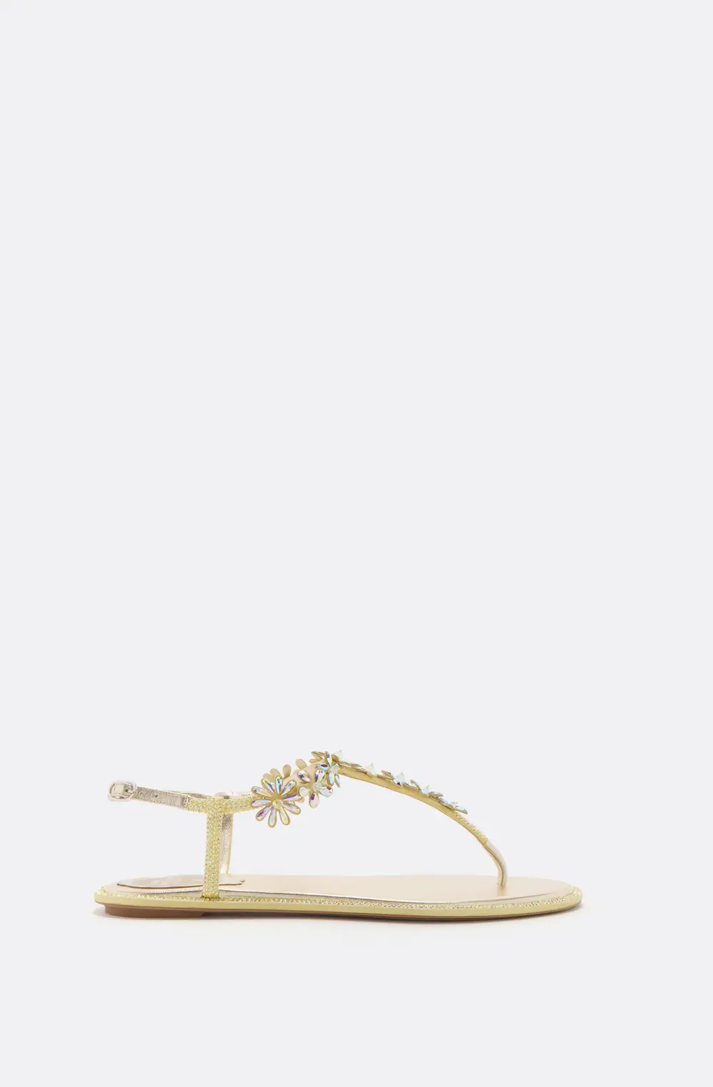 Rene Caovilla EVA YELLOW THONG SANDAL 10