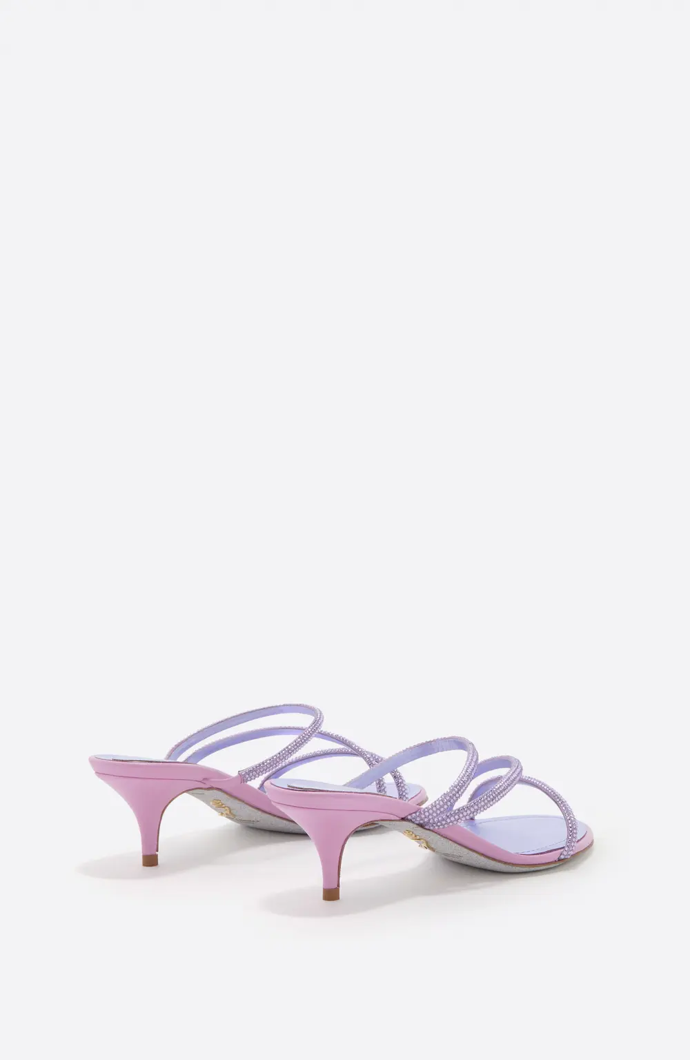 Rene Caovilla ERIN WISTERIA MULE 50