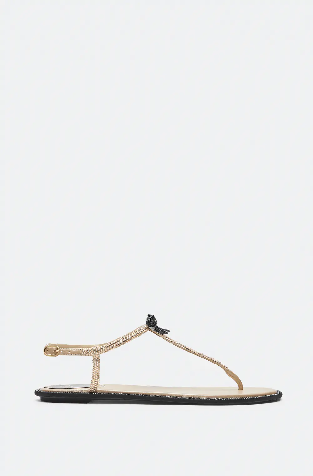 Rene Caovilla Caterina Honey Thong Sandal 10