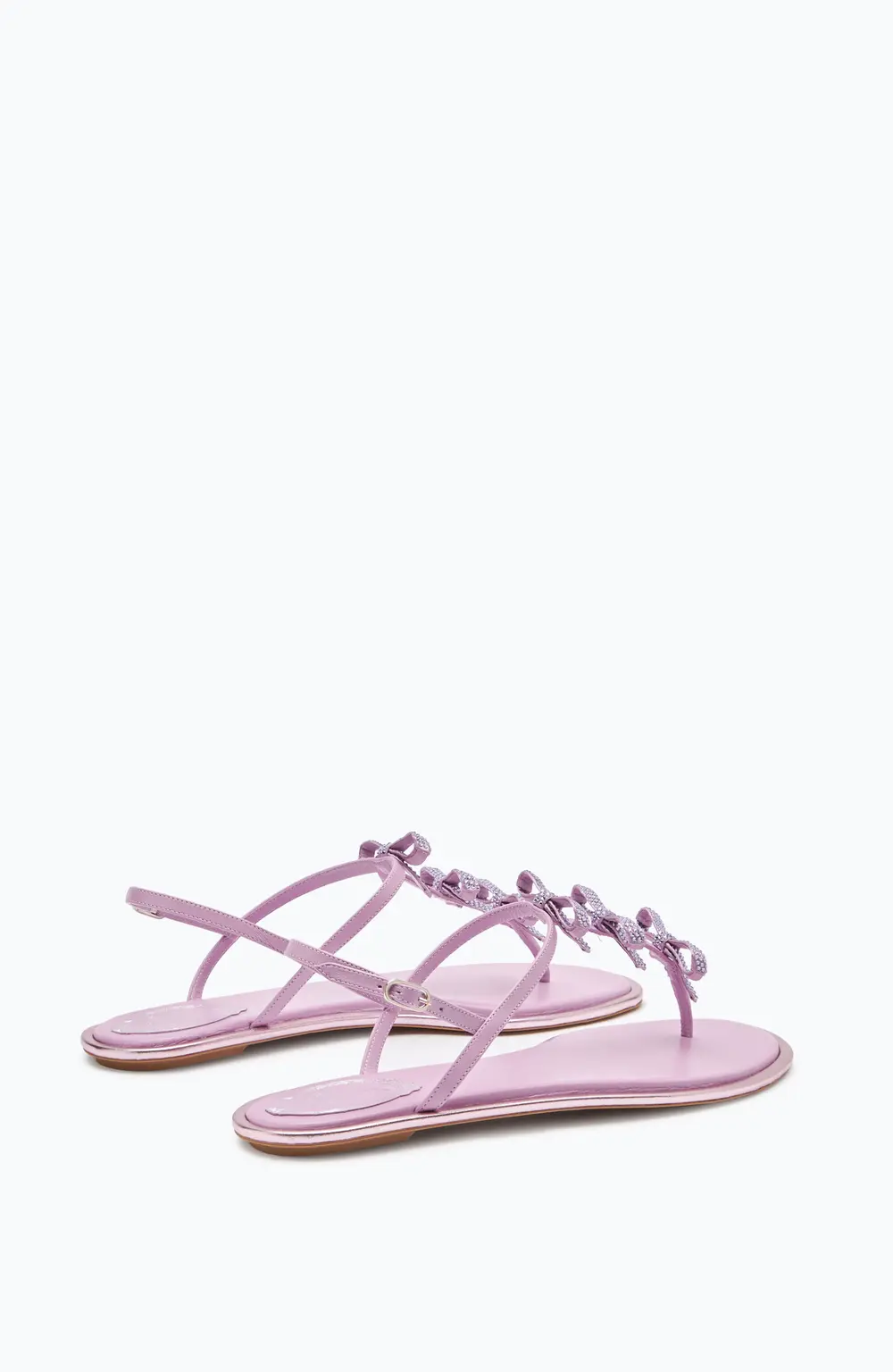 Rene Caovilla Caterina Mauve Thong Sandal 10