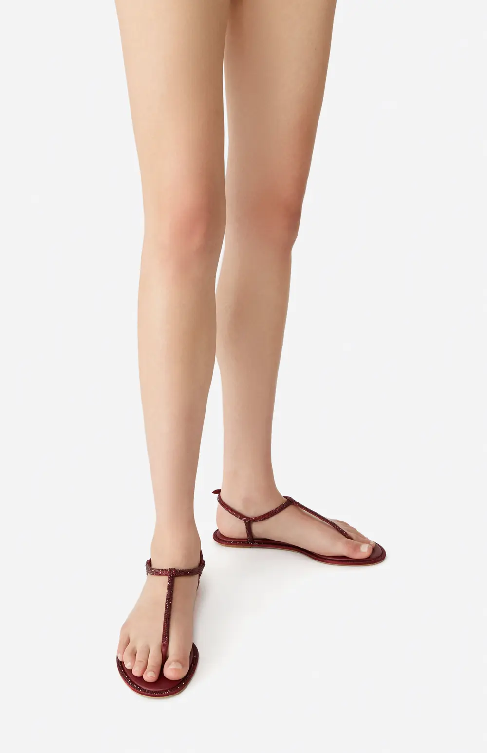 Rene Caovilla DIANA BURGUNDY SANDAL WITH CRYSTALS 10