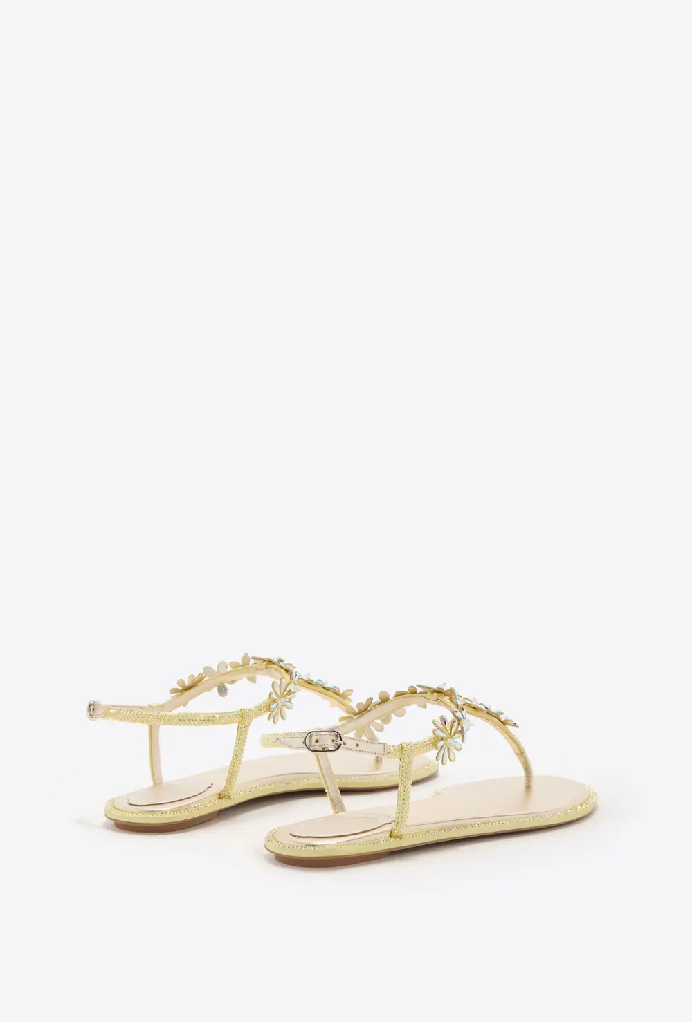 Rene Caovilla EVA YELLOW THONG SANDAL 10