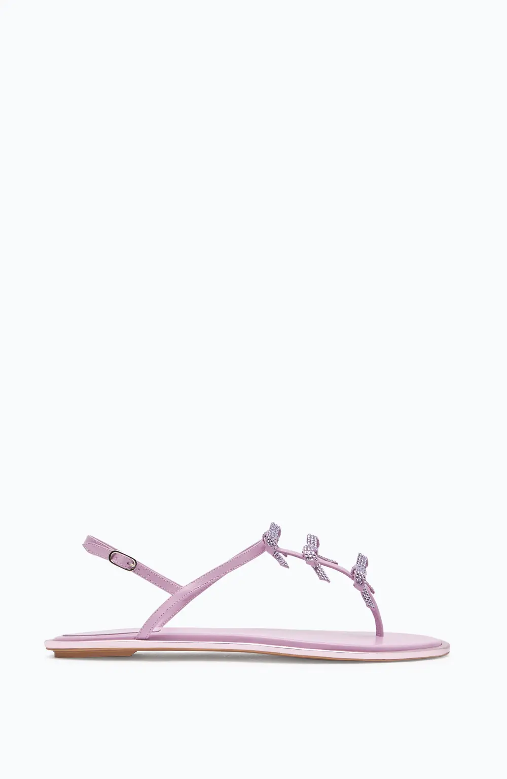 Rene Caovilla Caterina Mauve Thong Sandal 10