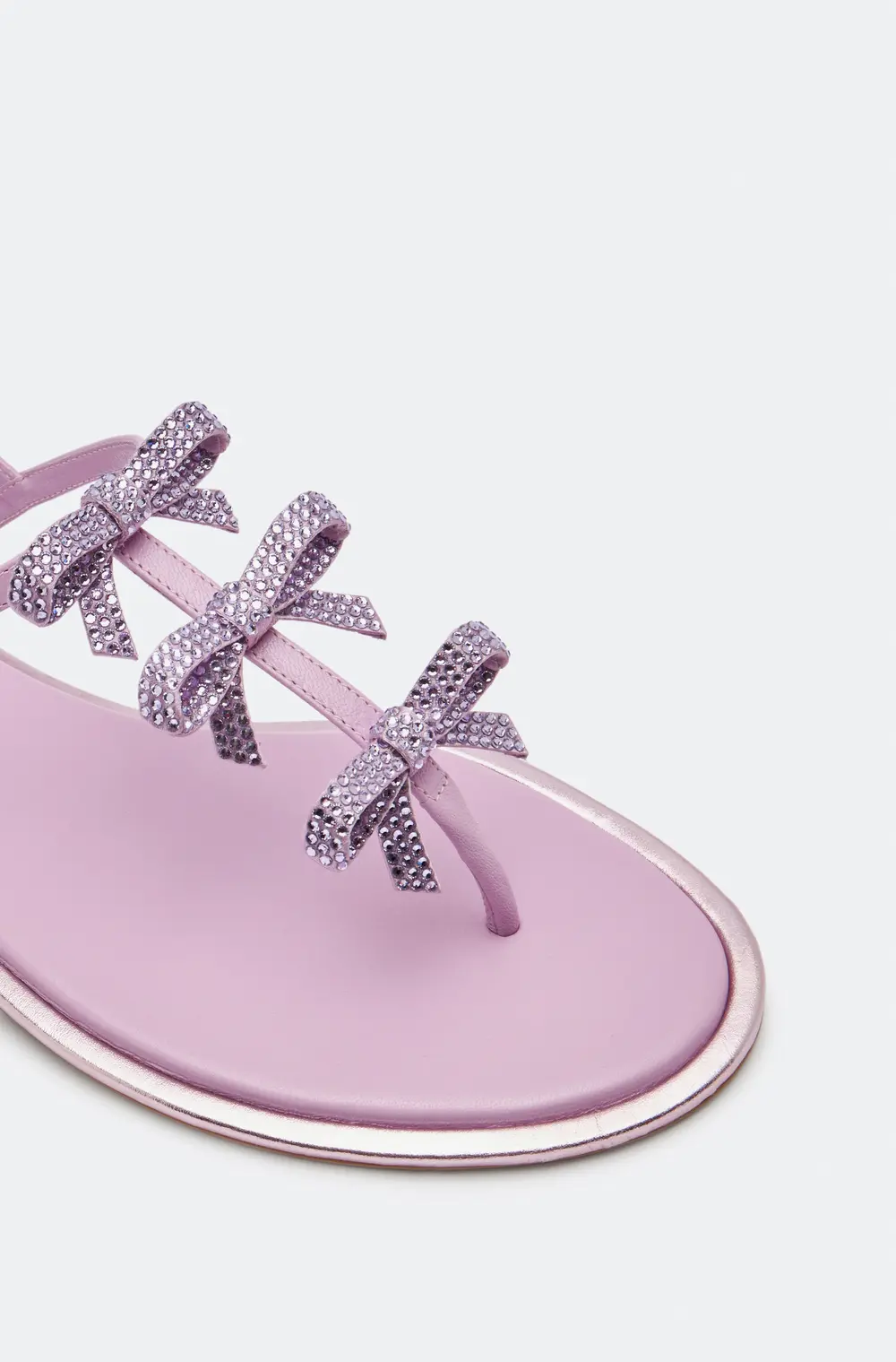 Rene Caovilla Caterina Mauve Thong Sandal 10