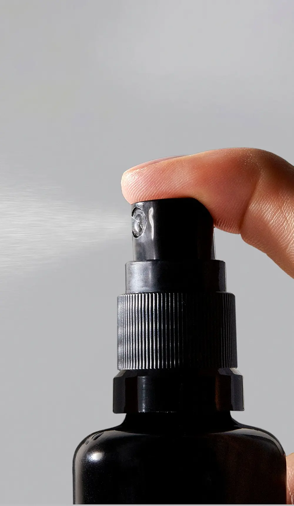 Vintner's Daughter The Signature Set