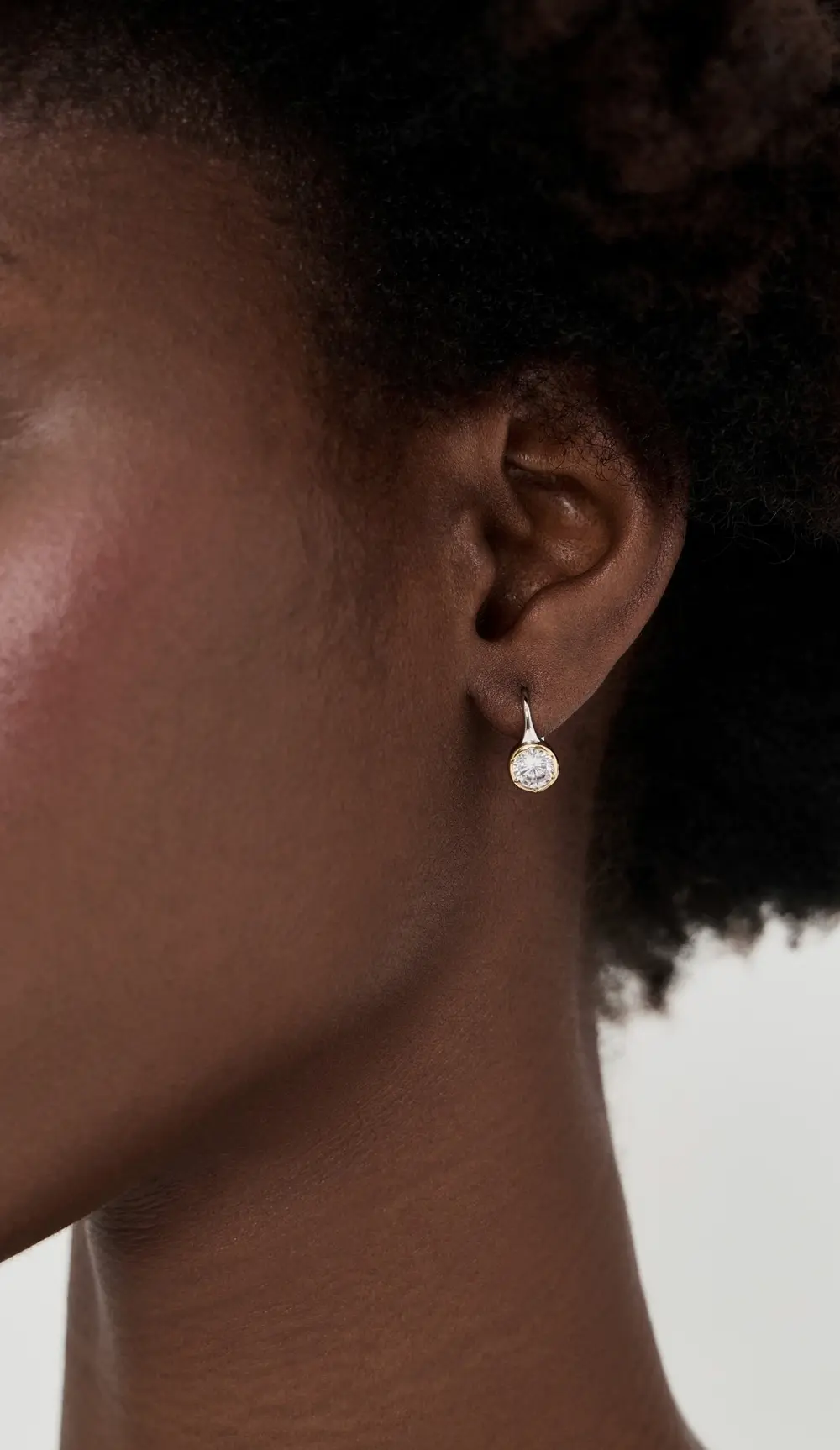 Luv Aj The Marais Hook Silver Earrings