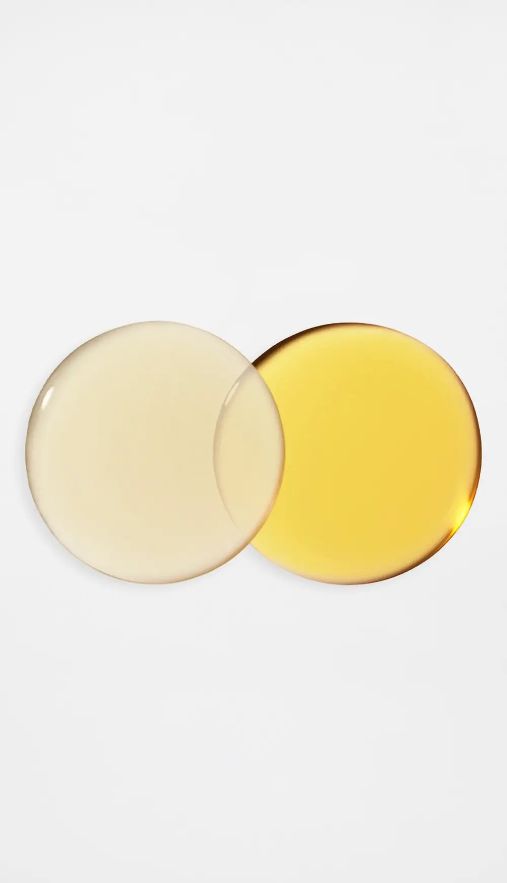 Vintner's Daughter The Signature Set