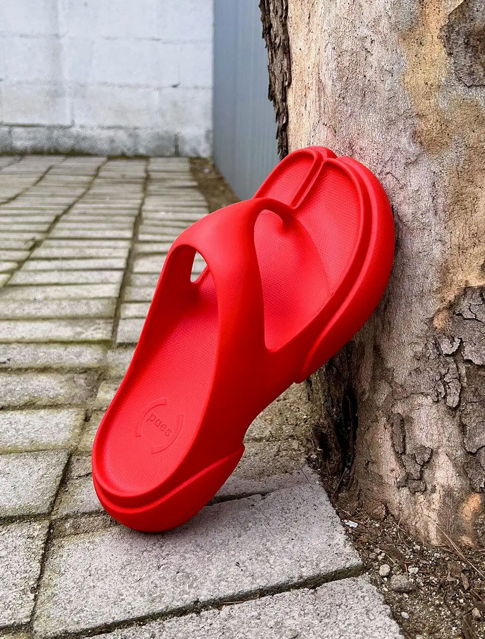 [SAMPLE SALE] Flipflop 02 Flip Flops [7Color]