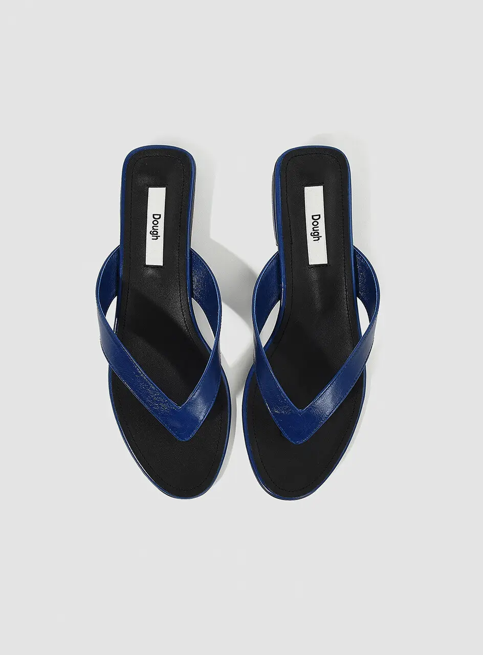 Flip-Flop Sandals_Blue